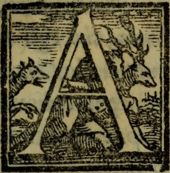 An illustration from Le risposte cavalleresche, 1550, leaf 156