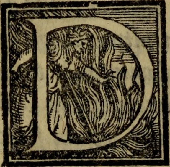 An illustration from Le risposte cavalleresche, 1550, leaf 219