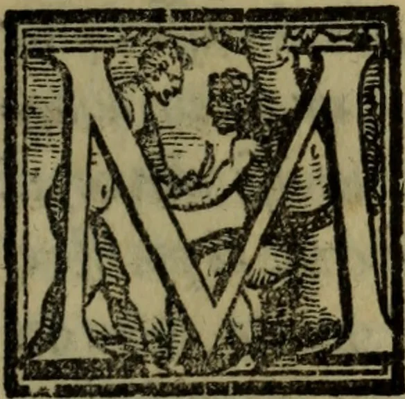 An illustration from Le risposte cavalleresche, 1550, leaf 224
