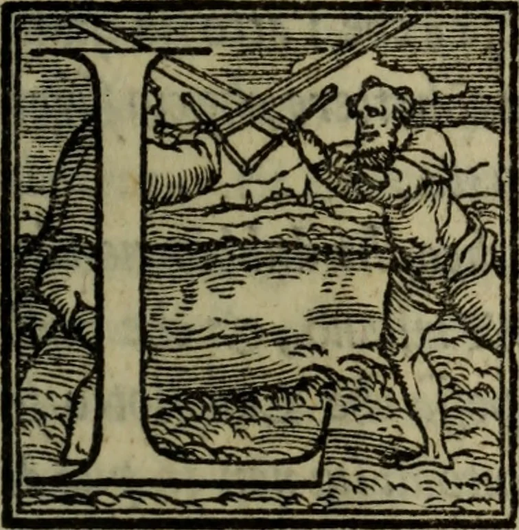 An illustration from Le risposte cavalleresche, 1550, leaf 230