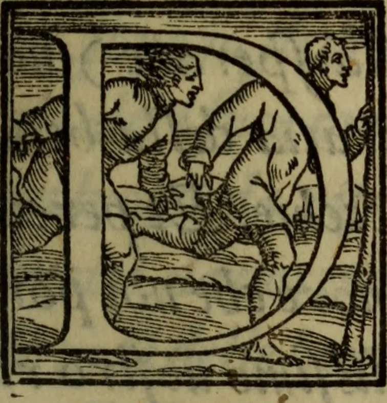 An illustration from Le risposte cavalleresche, 1550, leaf 4
