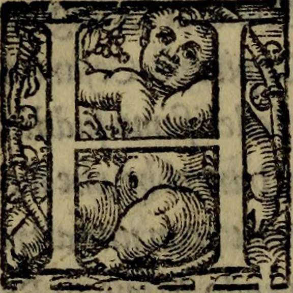 An illustration from Le risposte cavalleresche, 1550, leaf 57