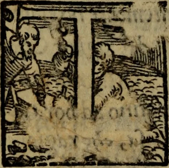 An illustration from Le risposte cavalleresche, 1550, leaf 81