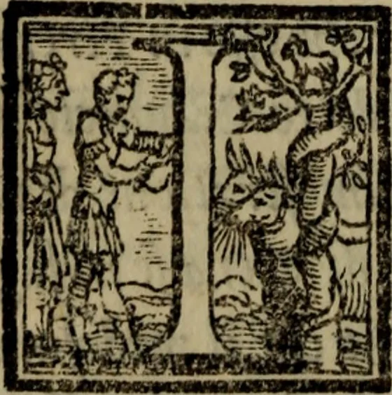 An illustration from Le risposte cavalleresche, 1550, leaf 99