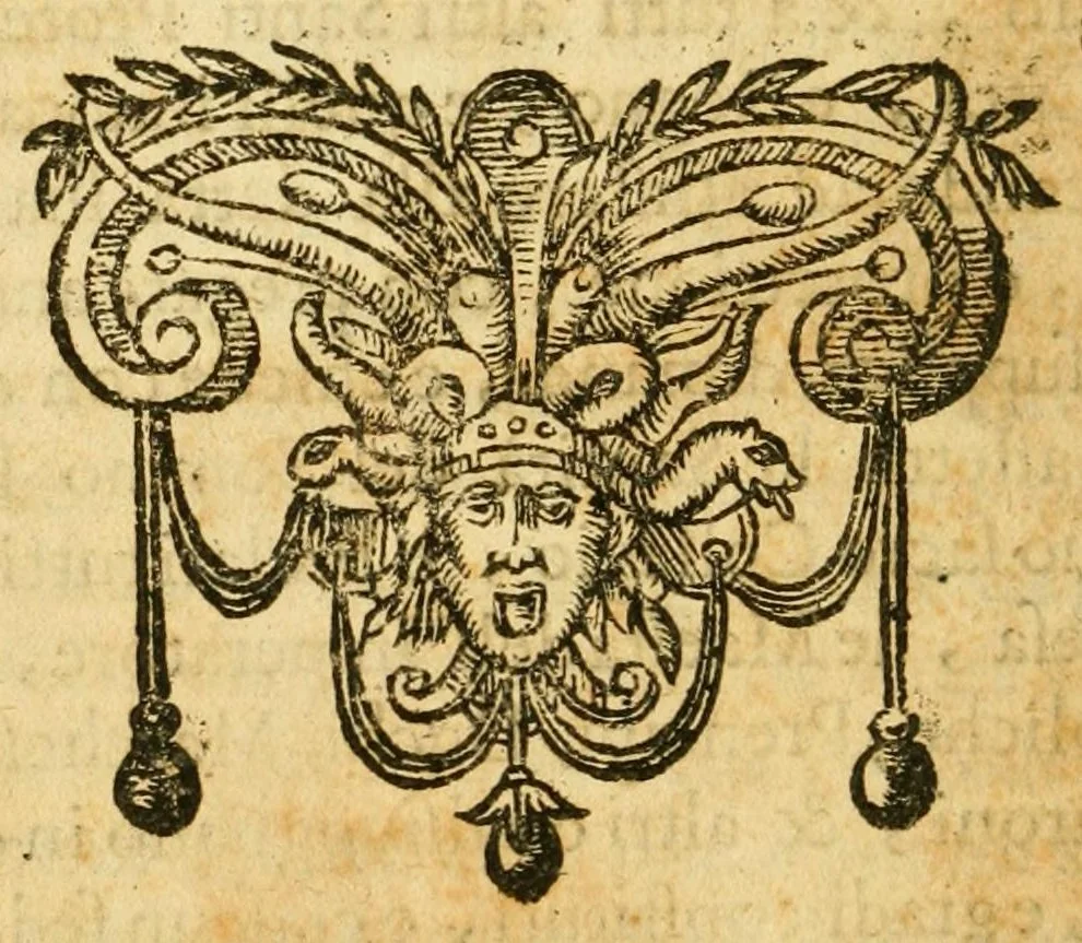 An illustration from Le rivolutioni di Napoli, 1648, leaf 210