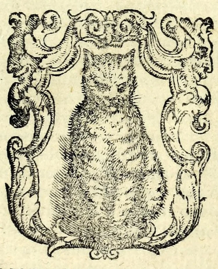 An illustration from L'erofilomachia, ouero, Il dvello d'amore, et d'amicitia : comedia nvova, 1586, leaf 3