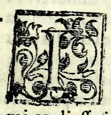 An illustration from L'erofilomachia, ouero, Il dvello d'amore, et d'amicitia : comedia nvova, 1586, leaf 51