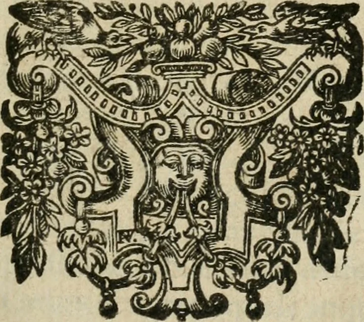 An illustration from Le romant des chevaliers de la gloire, 1612, leaf 10