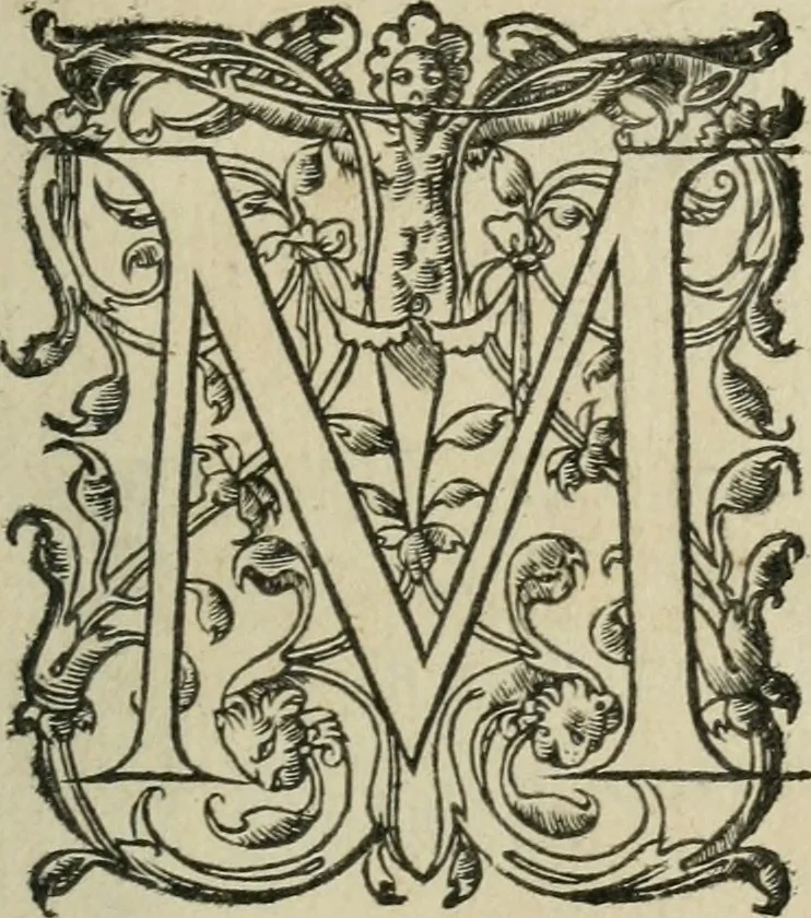 An illustration from Le romant des chevaliers de la gloire, 1612, leaf 14
