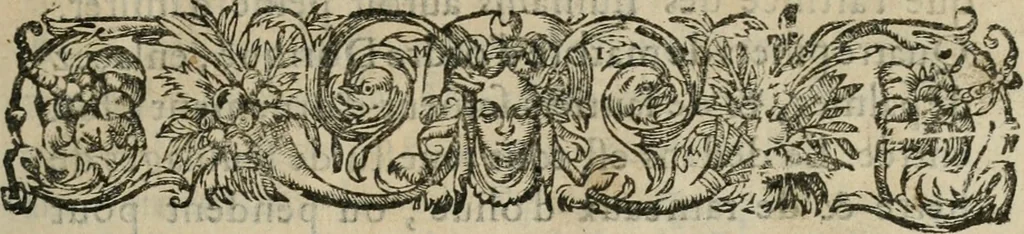 An illustration from Le romant des chevaliers de la gloire, 1612, leaf 16