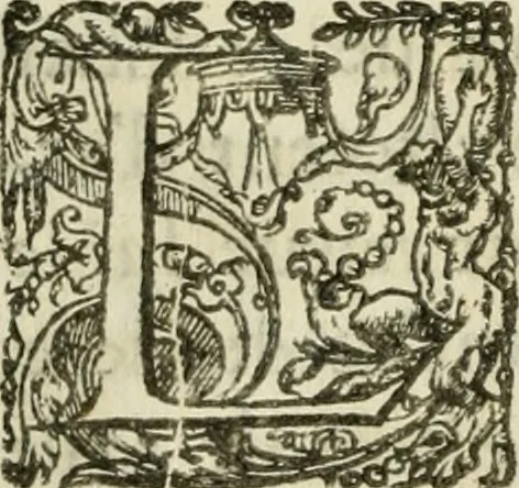 An illustration from Le romant des chevaliers de la gloire, 1612, leaf 171