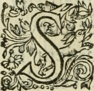An illustration from Le romant des chevaliers de la gloire, 1612, leaf 255