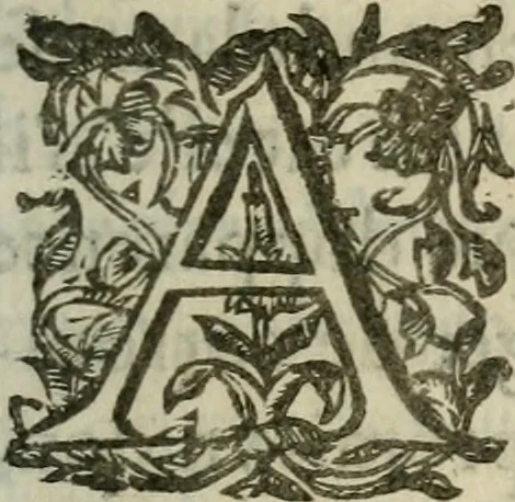 An illustration from Le romant des chevaliers de la gloire, 1612, leaf 260
