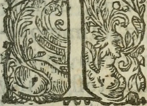 An illustration from Le romant des chevaliers de la gloire, 1612, leaf 264