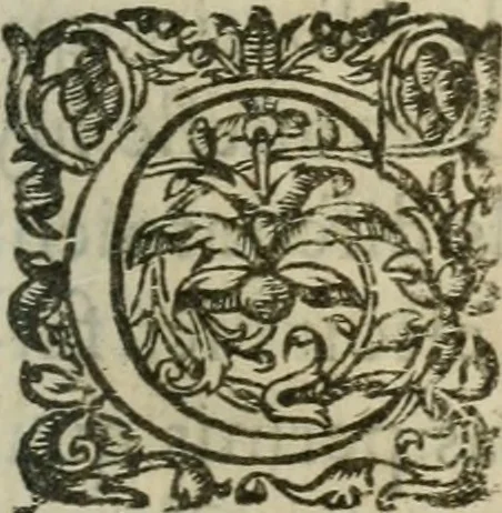 An illustration from Le romant des chevaliers de la gloire, 1612, leaf 268