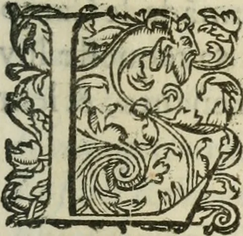 An illustration from Le romant des chevaliers de la gloire, 1612, leaf 272
