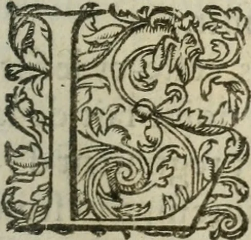 An illustration from Le romant des chevaliers de la gloire, 1612, leaf 288