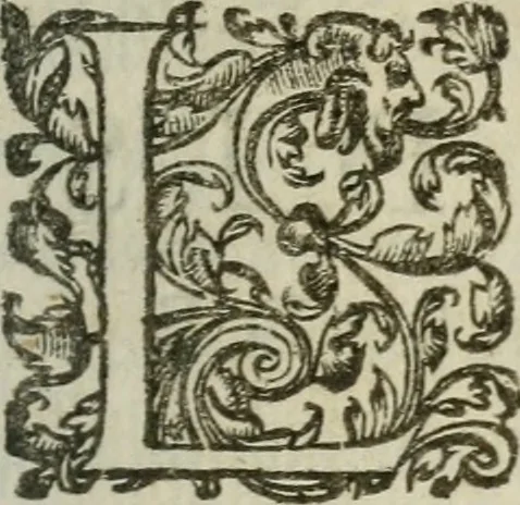 An illustration from Le romant des chevaliers de la gloire, 1612, leaf 292