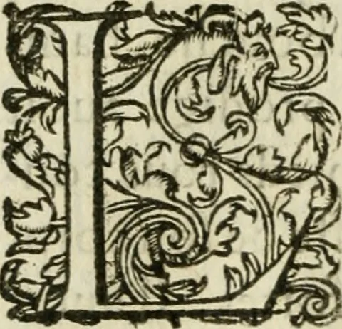 An illustration from Le romant des chevaliers de la gloire, 1612, leaf 299