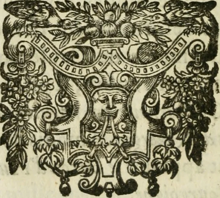 An illustration from Le romant des chevaliers de la gloire, 1612, leaf 315