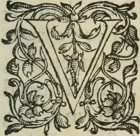 An illustration from Le romant des chevaliers de la gloire, 1612, leaf 316