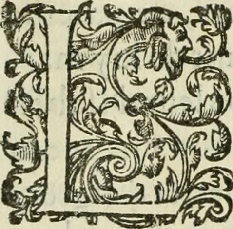 An illustration from Le romant des chevaliers de la gloire, 1612, leaf 319