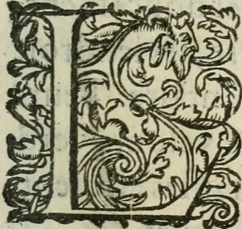 An illustration from Le romant des chevaliers de la gloire, 1612, leaf 320
