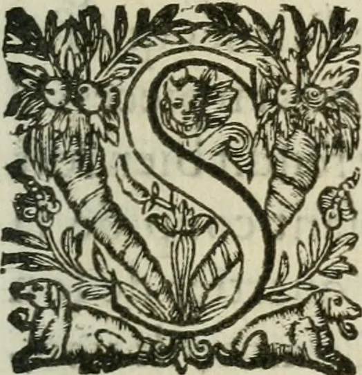 An illustration from Le romant des chevaliers de la gloire, 1612, leaf 382
