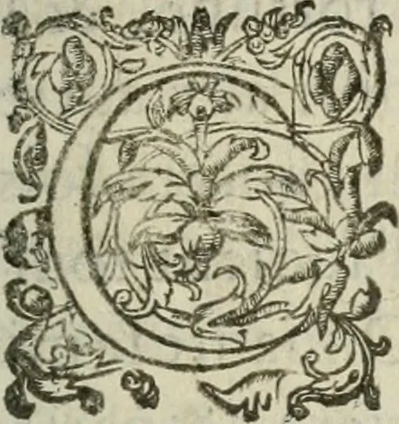 An illustration from Le romant des chevaliers de la gloire, 1612, leaf 386