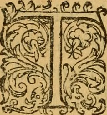 An illustration from Le romant des chevaliers de la gloire, : contenant plvsievrs ... aduentures des princes ... qui parurent aux courses faictes à la Place royale pour la feste des alliances de France & d'Espagne. Avec la description de levrs entrees, equipages, habits, machines, deuises, armes & blasons de leurs maisons., 1612, leaf 107