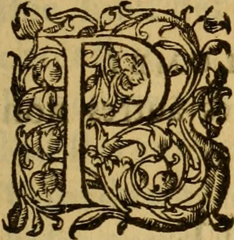 An illustration from Le romant des chevaliers de la gloire, : contenant plvsievrs ... aduentures des princes ... qui parurent aux courses faictes à la Place royale pour la feste des alliances de France & d'Espagne. Avec la description de levrs entrees, equipages, habits, machines, deuises, armes & blasons de leurs maisons., 1612, leaf 126