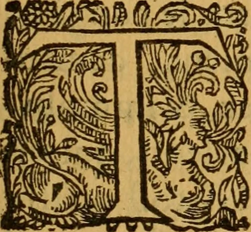 An illustration from Le romant des chevaliers de la gloire, : contenant plvsievrs ... aduentures des princes ... qui parurent aux courses faictes à la Place royale pour la feste des alliances de France & d'Espagne. Avec la description de levrs entrees, equipages, habits, machines, deuises, armes & blasons de leurs maisons., 1612, leaf 138