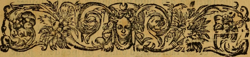An illustration from Le romant des chevaliers de la gloire, : contenant plvsievrs ... aduentures des princes ... qui parurent aux courses faictes à la Place royale pour la feste des alliances de France & d'Espagne. Avec la description de levrs entrees, equipages, habits, machines, deuises, armes & blasons de leurs maisons., 1612, leaf 14
