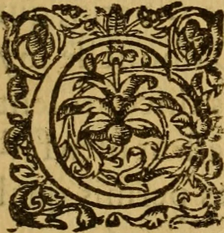 An illustration from Le romant des chevaliers de la gloire, : contenant plvsievrs ... aduentures des princes ... qui parurent aux courses faictes à la Place royale pour la feste des alliances de France & d'Espagne. Avec la description de levrs entrees, equipages, habits, machines, deuises, armes & blasons de leurs maisons., 1612, leaf 142