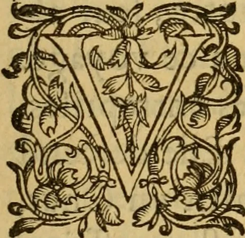 An illustration from Le romant des chevaliers de la gloire, : contenant plvsievrs ... aduentures des princes ... qui parurent aux courses faictes à la Place royale pour la feste des alliances de France & d'Espagne. Avec la description de levrs entrees, equipages, habits, machines, deuises, armes & blasons de leurs maisons., 1612, leaf 162