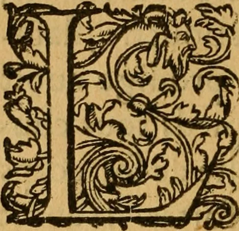 An illustration from Le romant des chevaliers de la gloire, : contenant plvsievrs ... aduentures des princes ... qui parurent aux courses faictes à la Place royale pour la feste des alliances de France & d'Espagne. Avec la description de levrs entrees, equipages, habits, machines, deuises, armes & blasons de leurs maisons., 1612, leaf 209