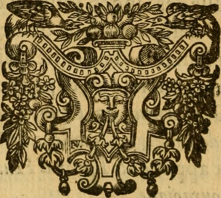 An illustration from Le romant des chevaliers de la gloire, : contenant plvsievrs ... aduentures des princes ... qui parurent aux courses faictes à la Place royale pour la feste des alliances de France & d'Espagne. Avec la description de levrs entrees, equipages, habits, machines, deuises, armes & blasons de leurs maisons., 1612, leaf 225