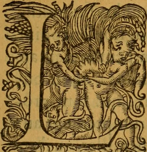 An illustration from Le romant des chevaliers de la gloire, : contenant plvsievrs ... aduentures des princes ... qui parurent aux courses faictes à la Place royale pour la feste des alliances de France & d'Espagne. Avec la description de levrs entrees, equipages, habits, machines, deuises, armes & blasons de leurs maisons., 1612, leaf 228