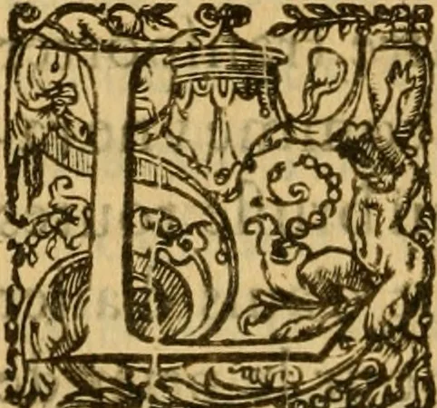 An illustration from Le romant des chevaliers de la gloire, : contenant plvsievrs ... aduentures des princes ... qui parurent aux courses faictes à la Place royale pour la feste des alliances de France & d'Espagne. Avec la description de levrs entrees, equipages, habits, machines, deuises, armes & blasons de leurs maisons., 1612, leaf 257