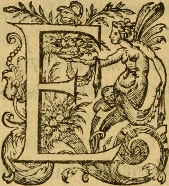 An illustration from Le romant des chevaliers de la gloire, : contenant plvsievrs ... aduentures des princes ... qui parurent aux courses faictes à la Place royale pour la feste des alliances de France & d'Espagne. Avec la description de levrs entrees, equipages, habits, machines, deuises, armes & blasons de leurs maisons., 1612, leaf 263