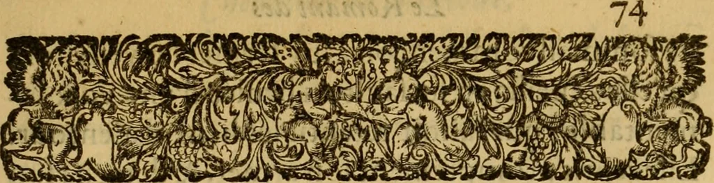 An illustration from Le romant des chevaliers de la gloire, : contenant plvsievrs ... aduentures des princes ... qui parurent aux courses faictes à la Place royale pour la feste des alliances de France & d'Espagne. Avec la description de levrs entrees, equipages, habits, machines, deuises, armes & blasons de leurs maisons., 1612, leaf 316