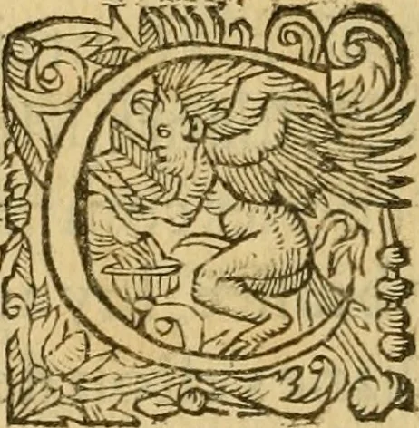 An illustration from Le romant des chevaliers de la gloire, : contenant plvsievrs ... aduentures des princes ... qui parurent aux courses faictes à la Place royale pour la feste des alliances de France & d'Espagne. Avec la description de levrs entrees, equipages, habits, machines, deuises, armes & blasons de leurs maisons., 1612, leaf 327