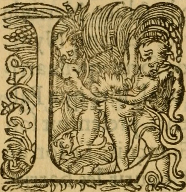 An illustration from Le romant des chevaliers de la gloire, : contenant plvsievrs ... aduentures des princes ... qui parurent aux courses faictes à la Place royale pour la feste des alliances de France & d'Espagne. Avec la description de levrs entrees, equipages, habits, machines, deuises, armes & blasons de leurs maisons., 1612, leaf 329