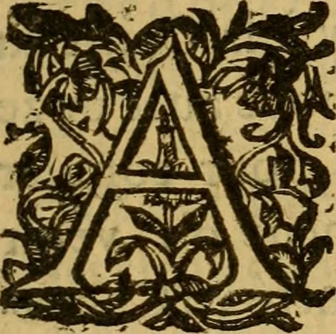 An illustration from Le romant des chevaliers de la gloire, : contenant plvsievrs ... aduentures des princes ... qui parurent aux courses faictes à la Place royale pour la feste des alliances de France & d'Espagne. Avec la description de levrs entrees, equipages, habits, machines, deuises, armes & blasons de leurs maisons., 1612, leaf 340