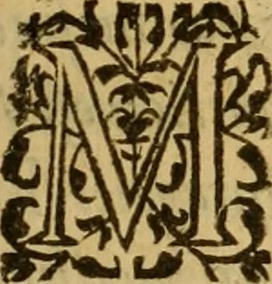 An illustration from Le romant des chevaliers de la gloire, : contenant plvsievrs ... aduentures des princes ... qui parurent aux courses faictes à la Place royale pour la feste des alliances de France & d'Espagne. Avec la description de levrs entrees, equipages, habits, machines, deuises, armes & blasons de leurs maisons., 1612, leaf 348