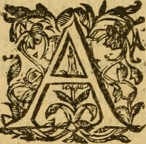 An illustration from Le romant des chevaliers de la gloire, : contenant plvsievrs ... aduentures des princes ... qui parurent aux courses faictes à la Place royale pour la feste des alliances de France & d'Espagne. Avec la description de levrs entrees, equipages, habits, machines, deuises, armes & blasons de leurs maisons., 1612, leaf 355
