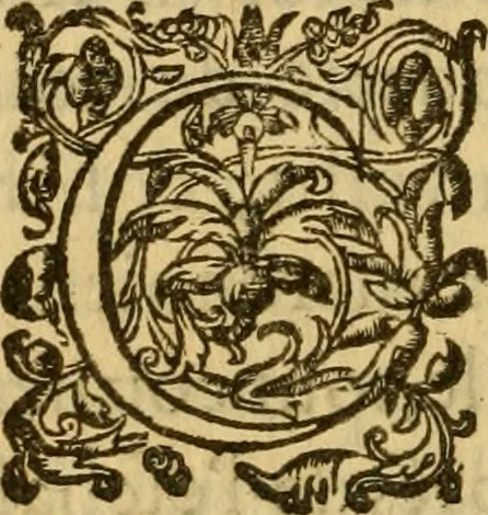 An illustration from Le romant des chevaliers de la gloire, : contenant plvsievrs ... aduentures des princes ... qui parurent aux courses faictes à la Place royale pour la feste des alliances de France & d'Espagne. Avec la description de levrs entrees, equipages, habits, machines, deuises, armes & blasons de leurs maisons., 1612, leaf 361