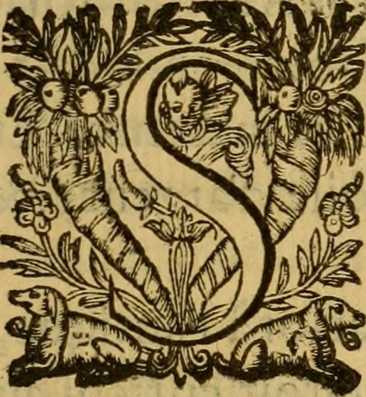 An illustration from Le romant des chevaliers de la gloire, : contenant plvsievrs ... aduentures des princes ... qui parurent aux courses faictes à la Place royale pour la feste des alliances de France & d'Espagne. Avec la description de levrs entrees, equipages, habits, machines, deuises, armes & blasons de leurs maisons., 1612, leaf 364