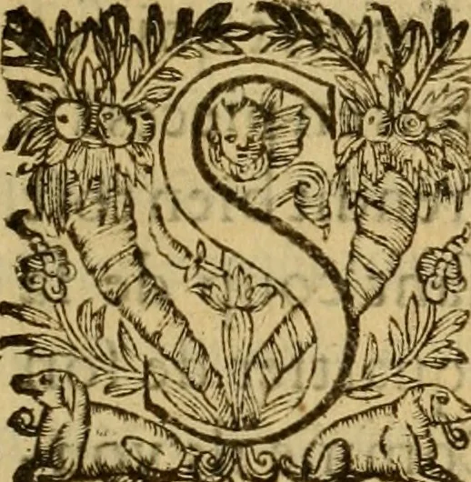 An illustration from Le romant des chevaliers de la gloire, : contenant plvsievrs ... aduentures des princes ... qui parurent aux courses faictes à la Place royale pour la feste des alliances de France & d'Espagne. Avec la description de levrs entrees, equipages, habits, machines, deuises, armes & blasons de leurs maisons., 1612, leaf 394