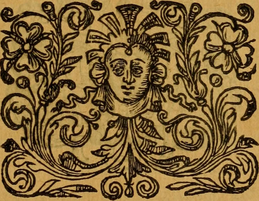 An illustration from Le romant des chevaliers de la gloire, : contenant plvsievrs ... aduentures des princes ... qui parurent aux courses faictes à la Place royale pour la feste des alliances de France & d'Espagne. Avec la description de levrs entrees, equipages, habits, machines, deuises, armes & blasons de leurs maisons., 1612, leaf 76